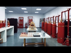 회사 일일 비디오